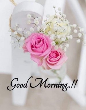 goodmorning3333333.jpg