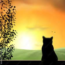 A cat looking at green field, sunset, sunrise, tree, birds. Orange sky,  silhouettes. Vector illustration. Stock Vector | Adobe Stock