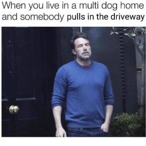 A4E6685E-7C46-46A5-B60E-AEAF169B042E.jpeg