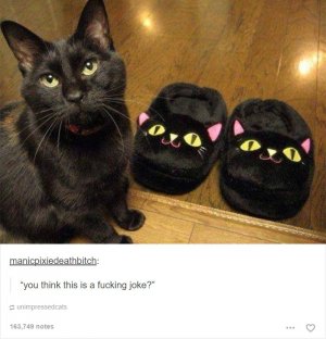 1-11.jpg