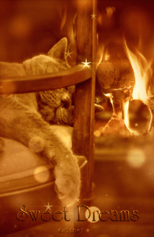 96F6CE1F-A763-4CBC-AE8D-217A4223A417.gif