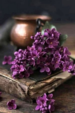 Tumblr_l_8724191121259.jpg