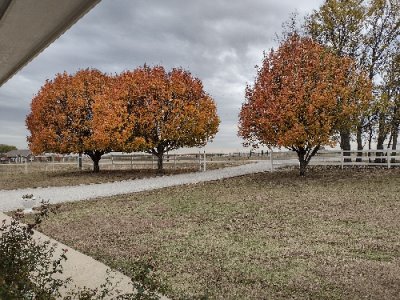 IMG_20221201_132725611_HDR.jpg