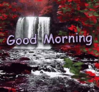 43A3F31F-394F-4337-9F5E-BC675A41468F.gif