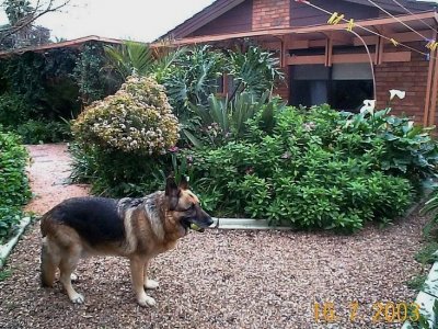 Maxinbackgarden.jpg