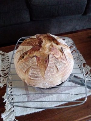 sourdough.jpg