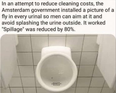 splash.jpg