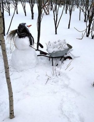 snowwoman.jpg