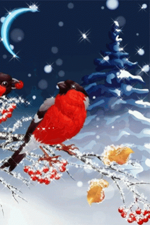 B4384B36-3A41-42F6-B393-17E60E14CE84.gif