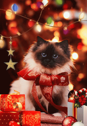 eac29dcdb2813c02001a39b9794698a5[1].gif