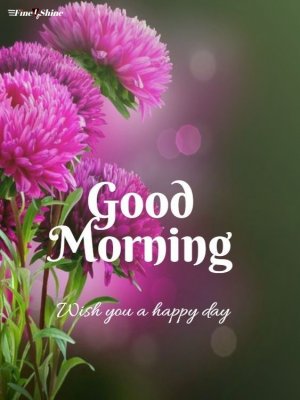 New-Good-Morning-Images-HD-1.jpg