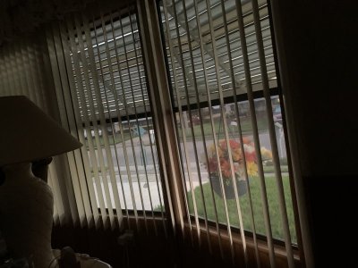 39B77849-30E1-4204-9C12-8E360099BD65.jpeg