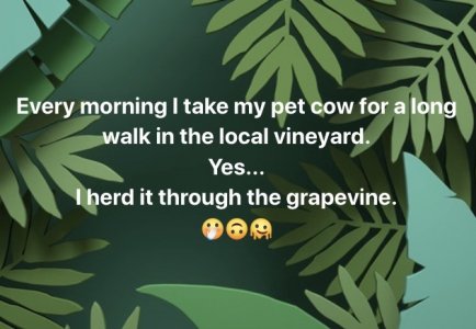 Grapevine Joke for SF.jpeg