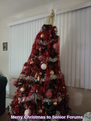 MerryChristmastoSeniorForums.jpg