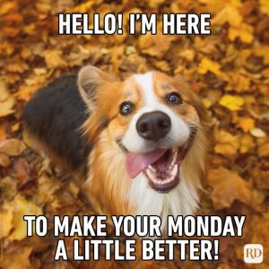 monday.jpg