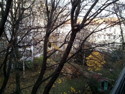 balcony.jpg