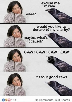 574E24A3-19E7-4AF2-A996-985E6610EF4E.jpeg