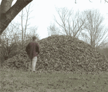 leaves gif.gif