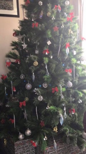 find the cat.jpg