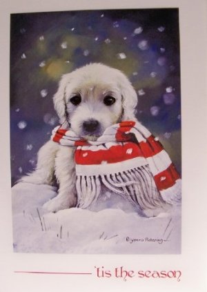 card17a.jpg