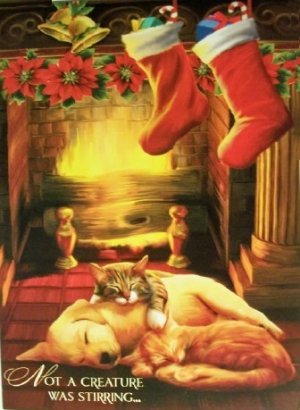 card18a.jpg