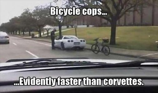 funny-229.jpg