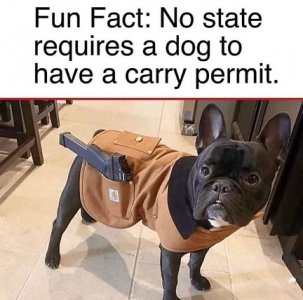 permit.jpg