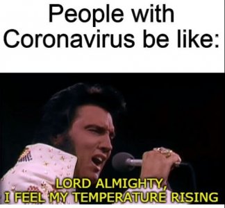 bgergr.JPG