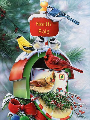 north-pole-jenny-newland.jpg