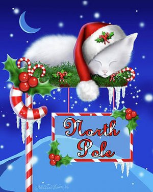 north-pole-kitten-melissa-dawn.jpg