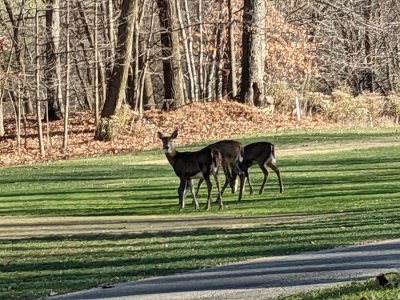 PXL_20221124_184147653.jpg PXL_20221124_184147653.jpg