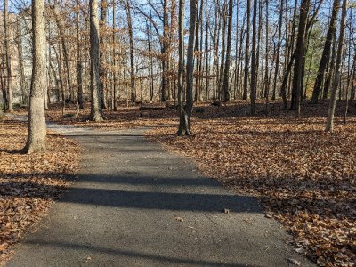 PXL_20221124_184059485.jpg PXL_20221124_184059485.jpg