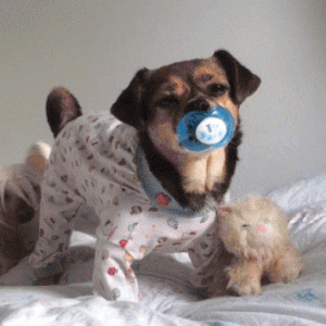 1eb0bb01018be82b159887bdc4c8e6dd.gif