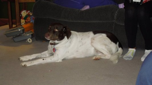 3A6B9832-31C0-4843-AE82-BD1421918407.jpeg 3A6B9832-31C0-4843-AE82-BD1421918407.jpeg