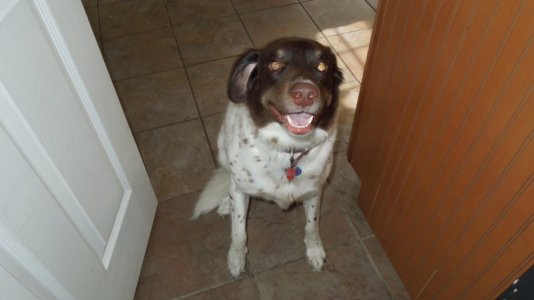 9DAC3EC2-49B0-449A-BC33-C5C244732152.jpeg 9DAC3EC2-49B0-449A-BC33-C5C244732152.jpeg