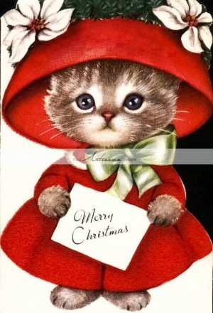 8922631d1ffb2cf532f4d81f5b99f8cf[1].jpg