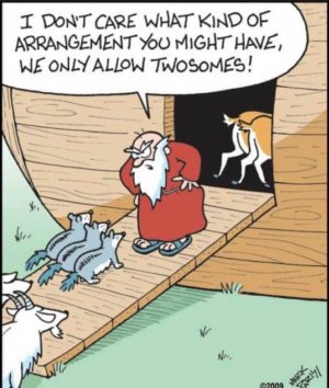Ark.jpg