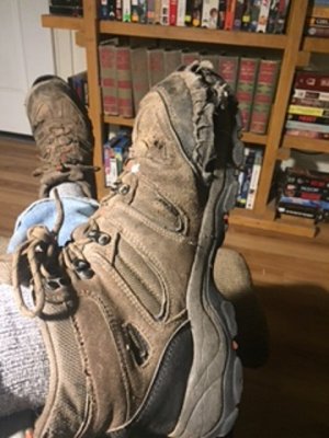 shoe goo consumers.jpg