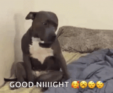 sleeping-dog-sad-good-night-adu3nm243e6koedp.gif