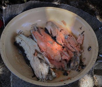 cf8784y.jpg cf8784y.jpg