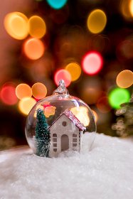snow globe.jpg