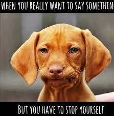 stop yourself.jpg