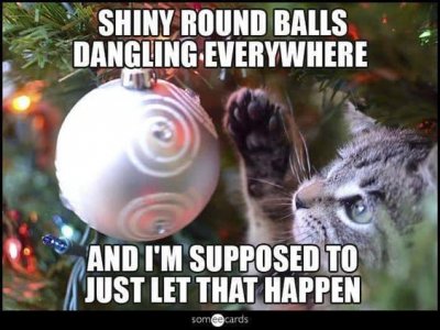 dae8a5ee40b351d214b7825653ec4f1b[1].jpg