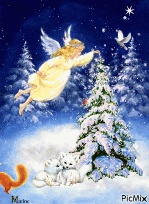 8694C05C-E35A-41B8-A03A-62E56973B879.gif