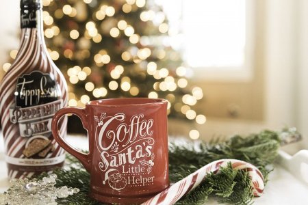 holiday-3884924__480.jpg