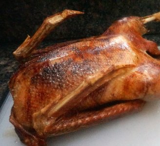 goose.JPG