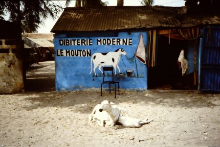 Senegal 017.JPG Senegal 017.JPG