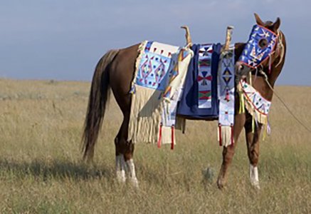 teach-and-learn--horse--750x516.jpg