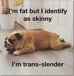transslender.jpg