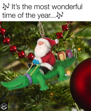 BC423E31-9CD8-4B8C-9753-0C6DF8E42CB0.jpeg